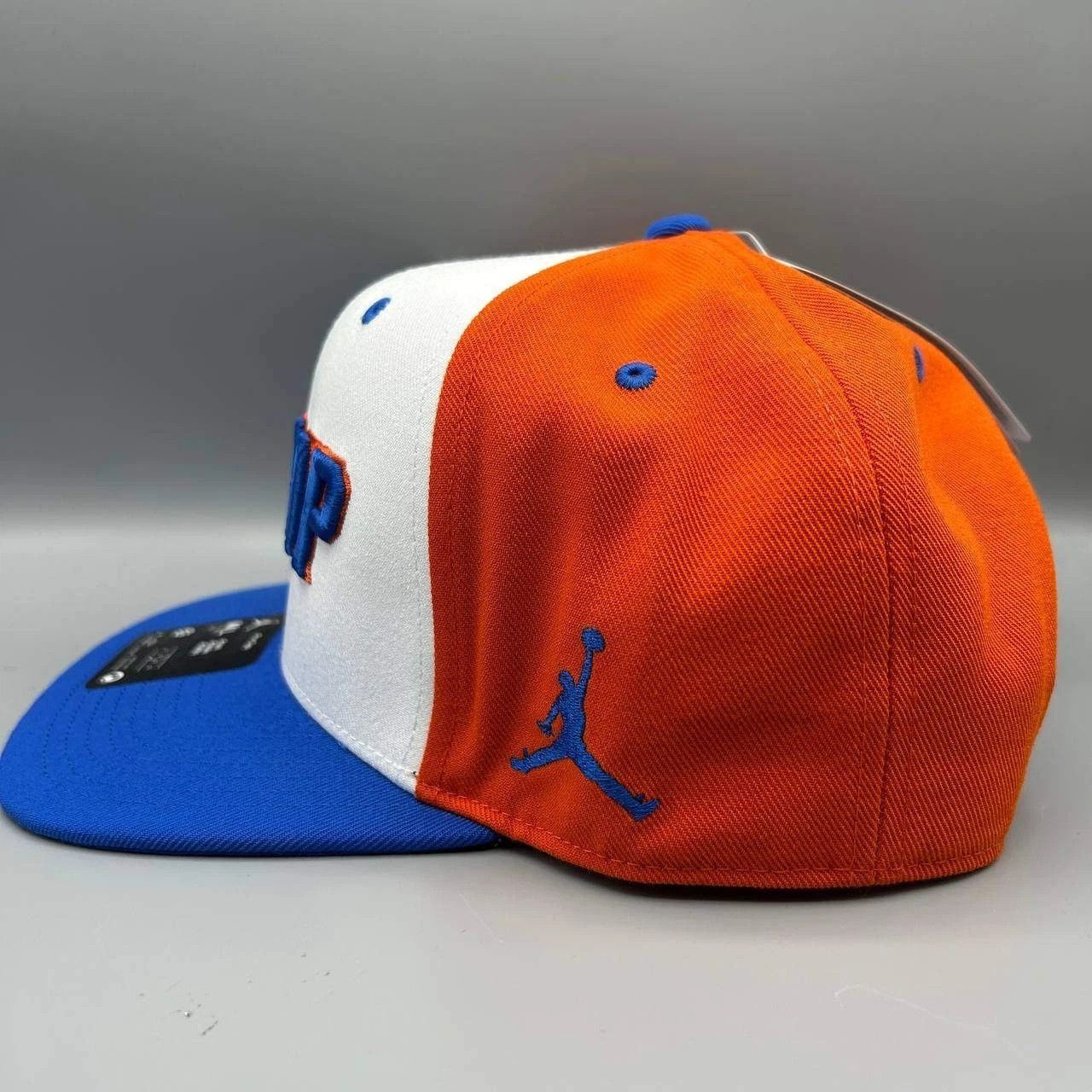 Jordan Brand Florida Gators x Air Jordan Pro Hat Men M-L Dri-Fit SnapBack Size ONE SIZE - 3 Thumbnail