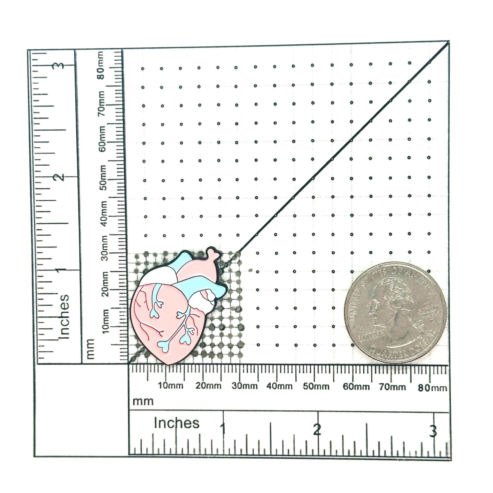 Other ⭐Anatomical Human Heart Shape Enamel Pin Brooch Pink Blue T Size ONE SIZE - 4 Thumbnail