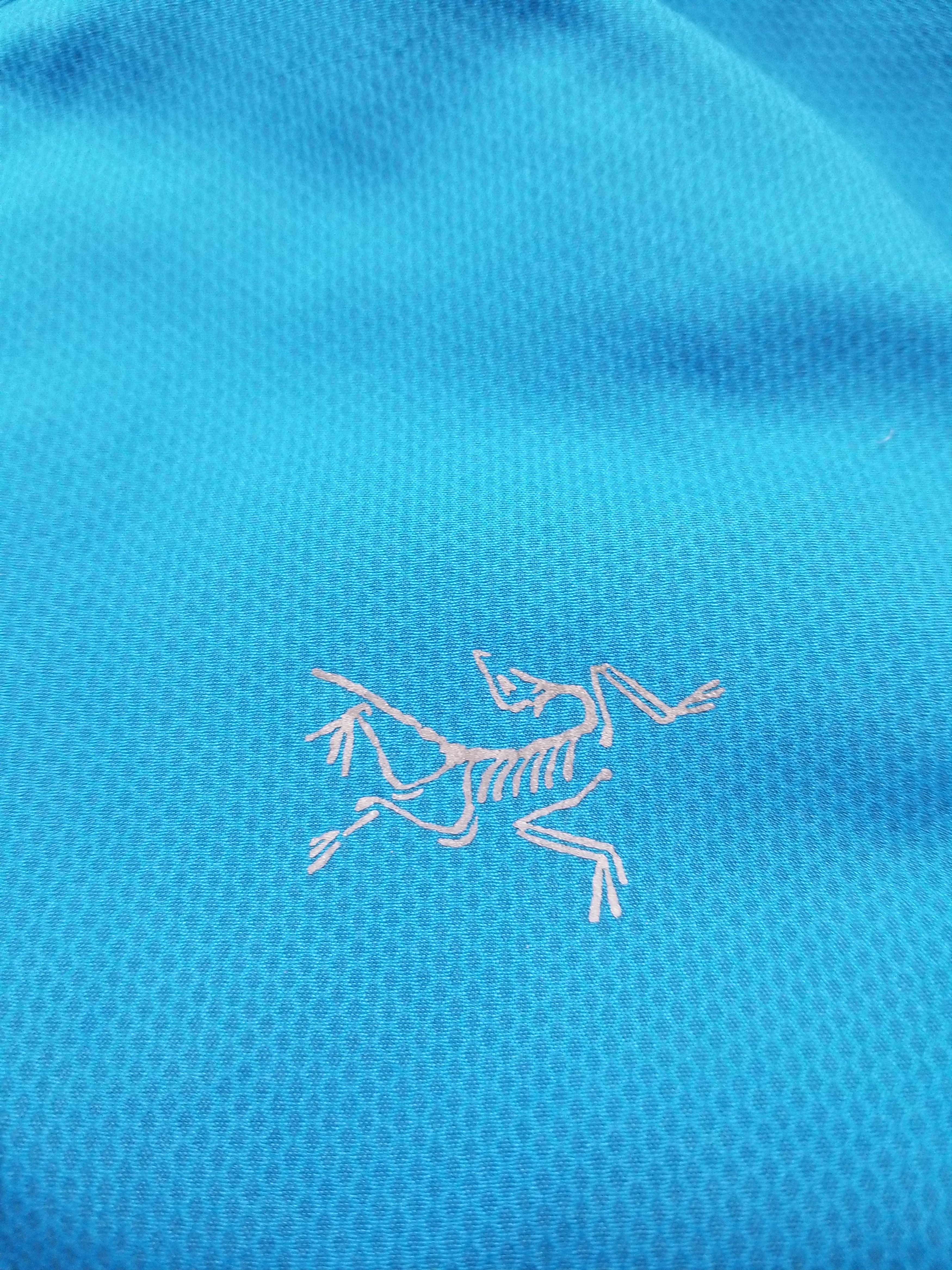 Arc'teryx Arc'teryx Running Light Weight Jacket Windstoper DEFECT Size US M / EU 48-50 / 2 - 9 Thumbnail