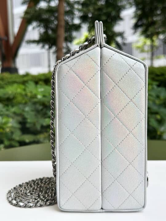 Chanel Lait De Coco Milk Carton Clutch Evening Bag Unicorn Size ONE SIZE - 5 Thumbnail