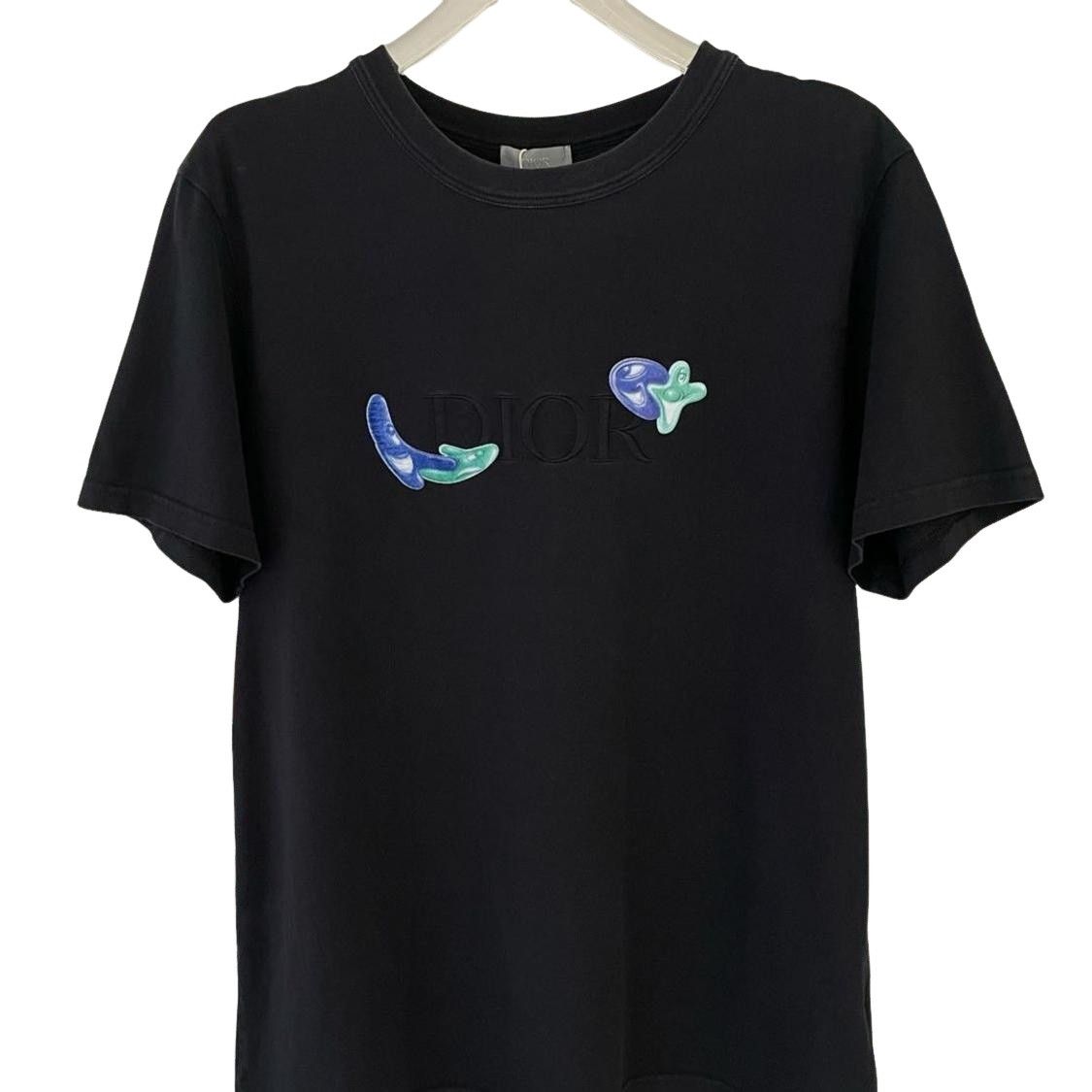 Dior Dior Homme F/W 17 Hardior T Shirt 100% Authentic Sz L $450