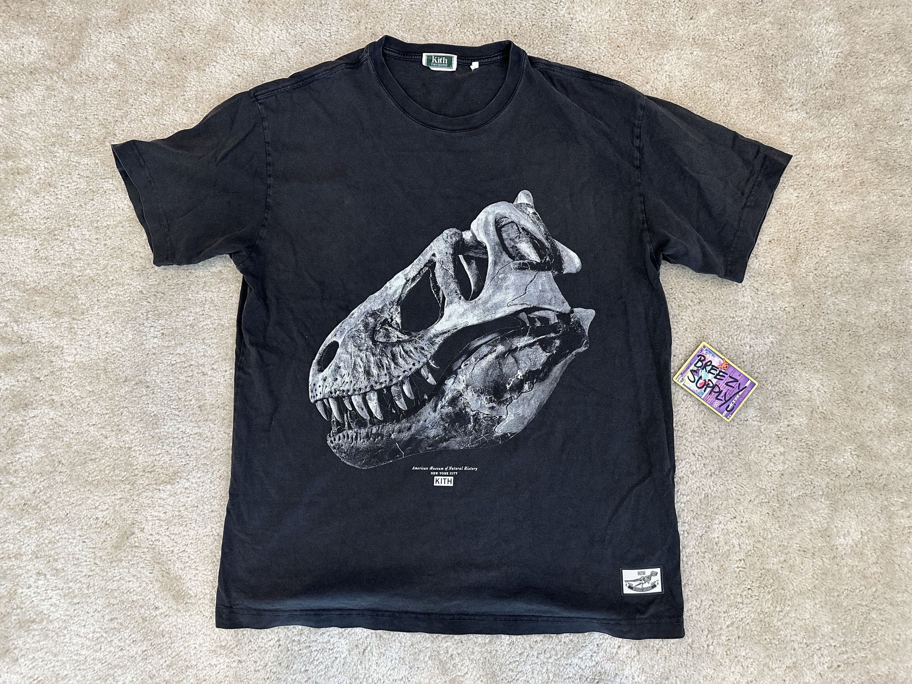 Kith Kith x American Museum of Natural History Dinosaur T-shirt