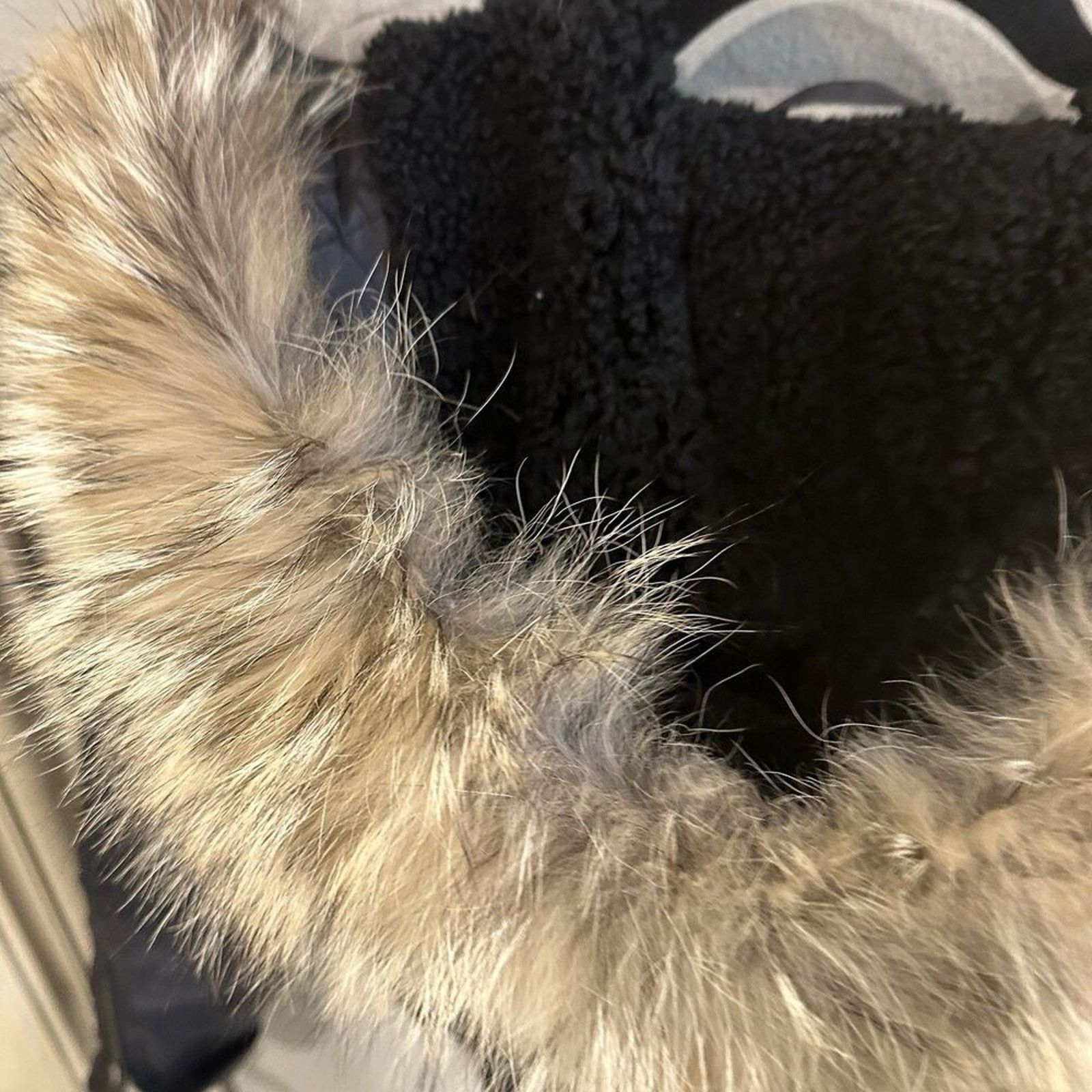 Ralph Lauren RALPH LAUREN | XS | GOOSE DOWN BOMBER Real FUR TRIM HOOD Size XS / US 0-2 / IT 36-38 - 9 Thumbnail