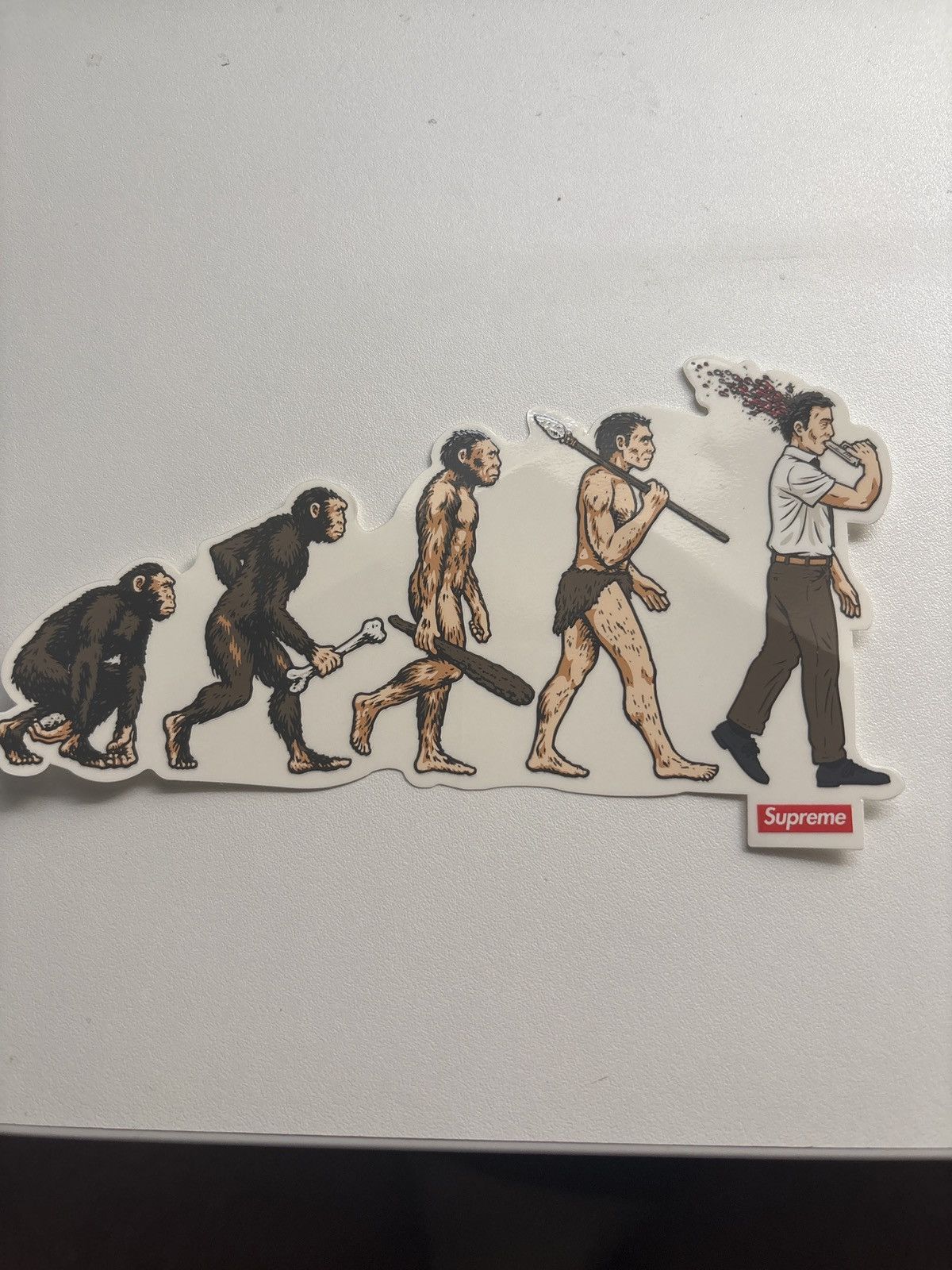 Supreme Supreme SS26 Evolution stickers Size ONE SIZE - 1 Thumbnail