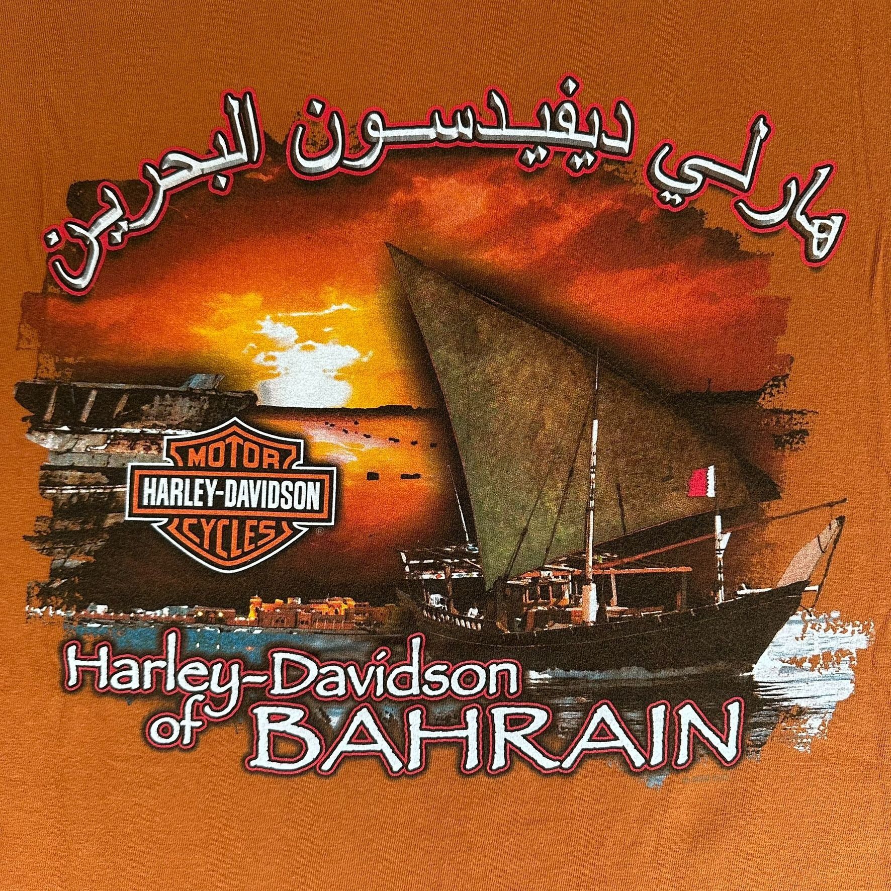 Harley Davidson Vintage Y2K Harley Davidson Wings Skull T-Shirt Arabic Boxy Size US XL / EU 56 / 4 - 6 Thumbnail