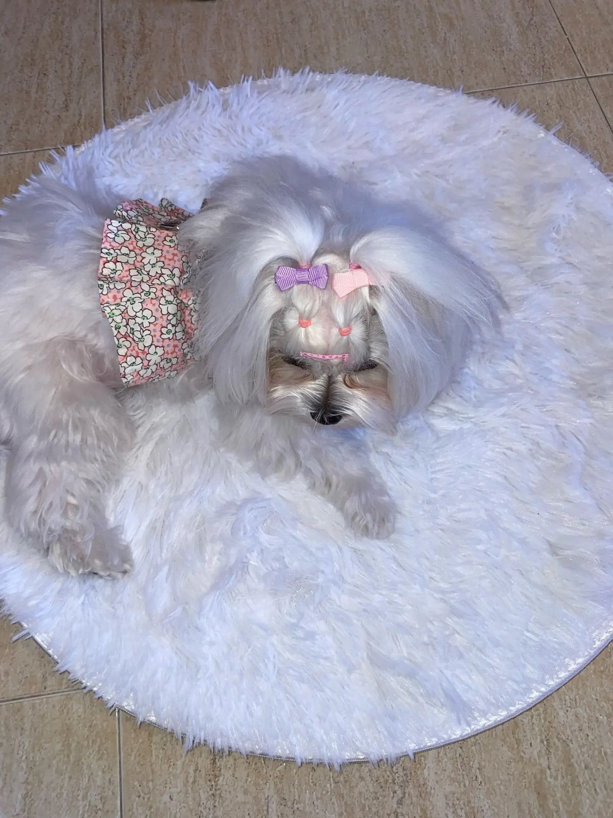 Japanese Brand × Vintage Super Soft Plush Round Rug Mat Fluffy White Carpets 80c80cm Size ONE SIZE - 2 Thumbnail