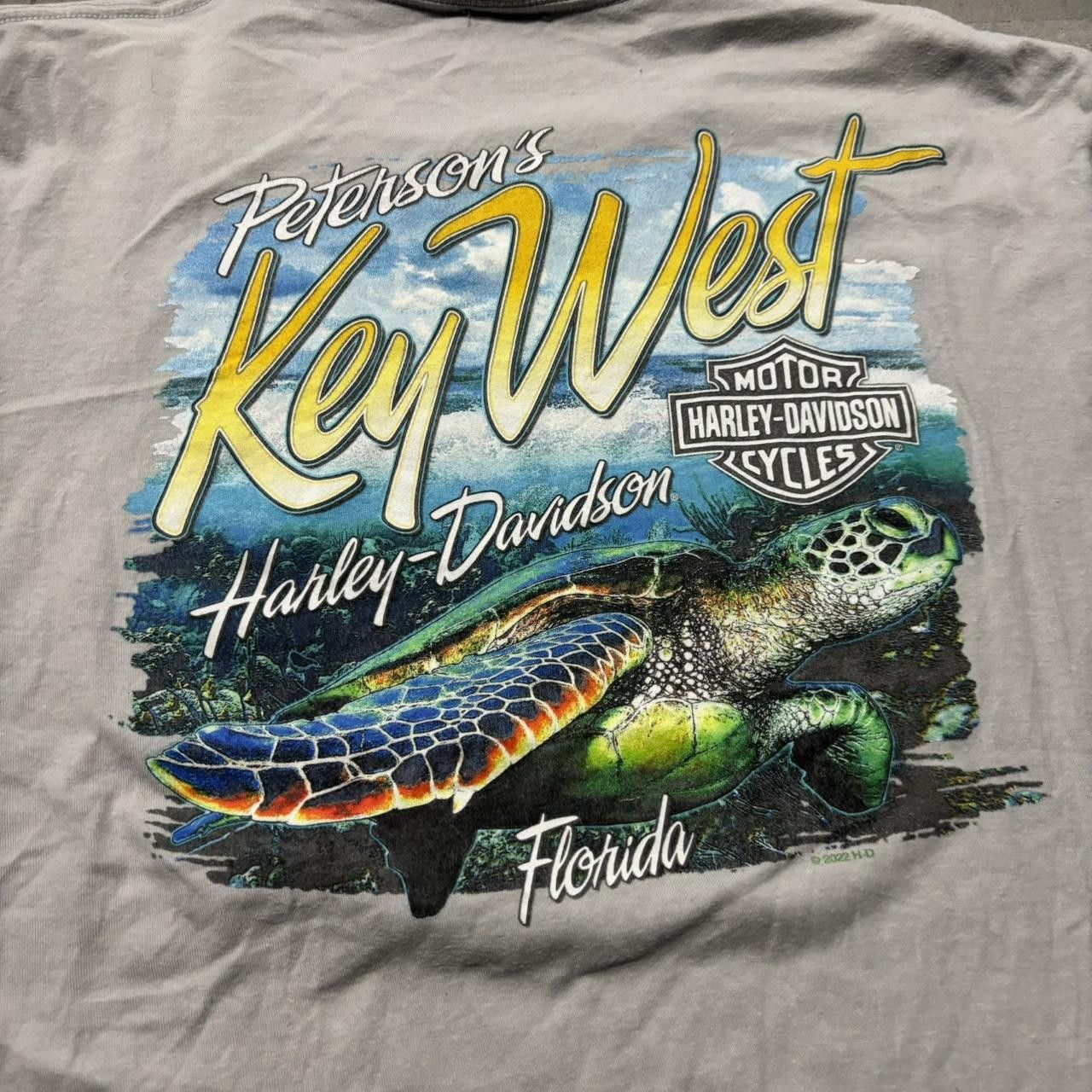 Harley Davidson × Vintage Crazy Vintage Y2K/2000s Grey Harley Davidson Key West Sea Turtle Graphic Tee! Size US L / EU 52-54 / 3 - 3 Thumbnail