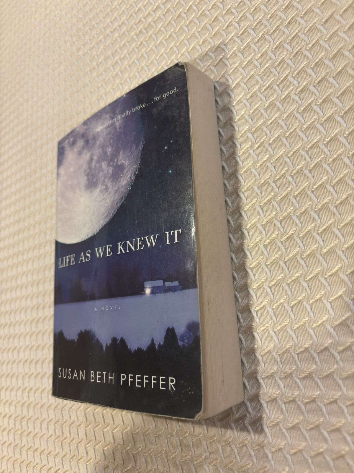 Other Life as we knew it book.xm-116 Size ONE SIZE - 10 Thumbnail