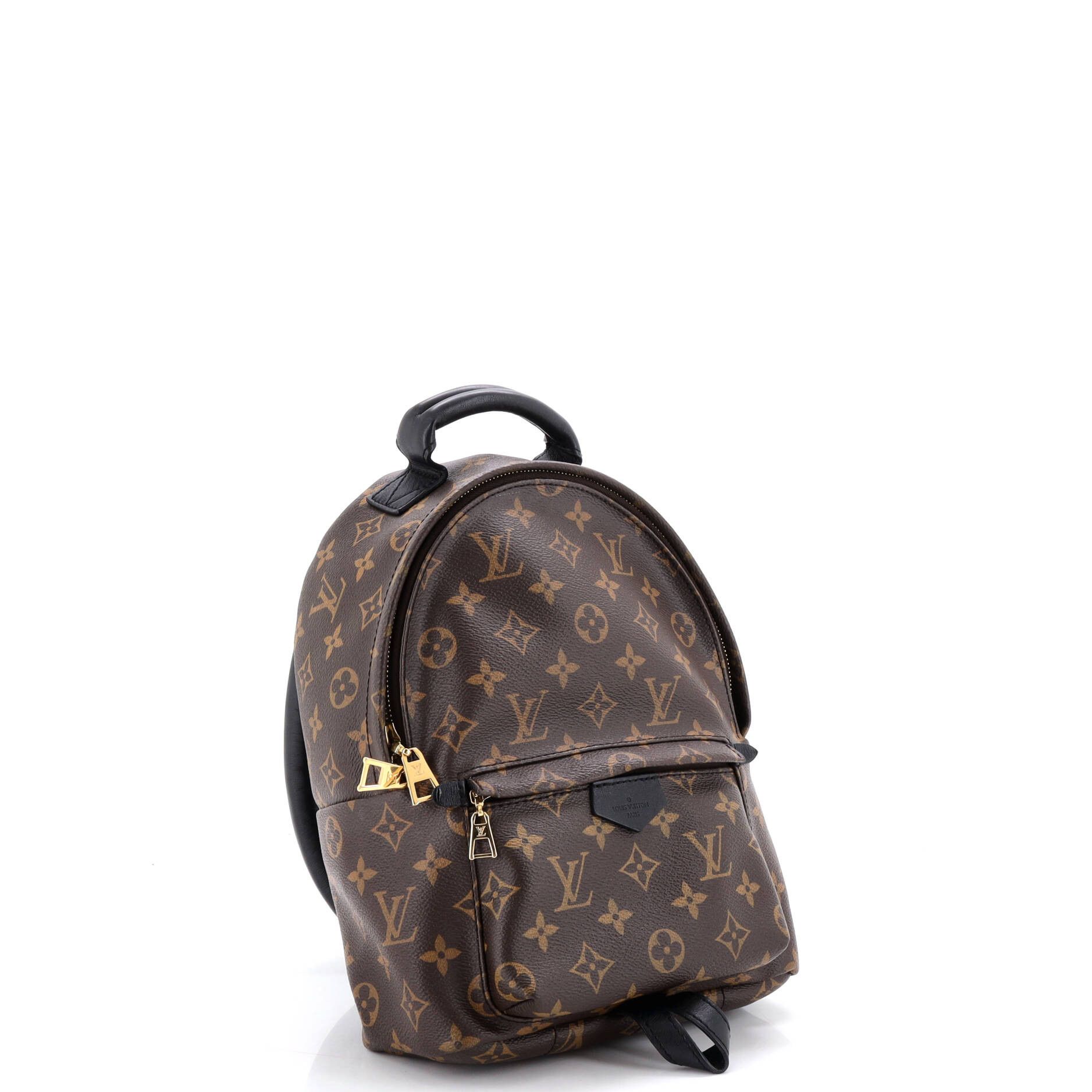 Louis Vuitton Palm Springs Backpack Monogram Canvas PM Size ONE SIZE - 1 Thumbnail