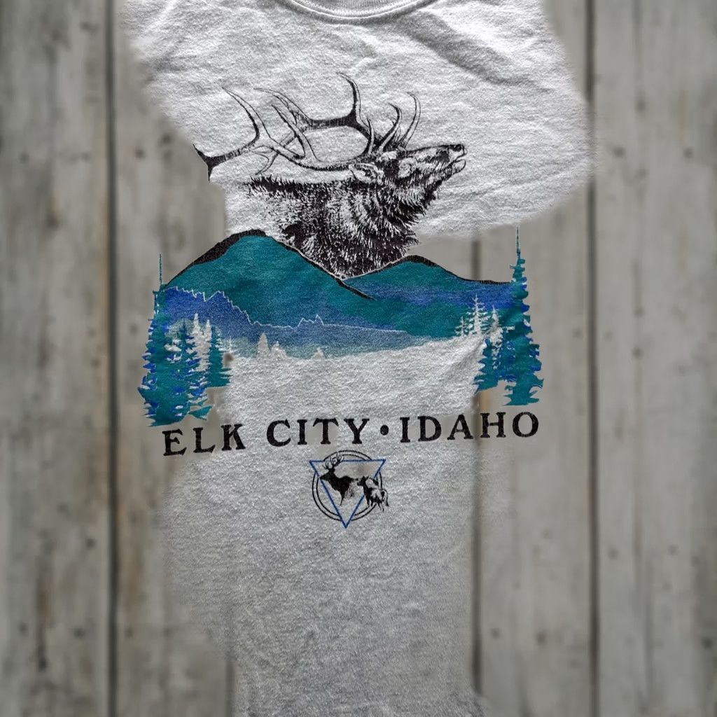 Hanes VINTAGE Hanes Shirt Mens M Gray Beefy-T Elk City Idaho Elk Mountain Graphic Heavyweight Size US M / EU 48-50 / 2 - 1 Thumbnail