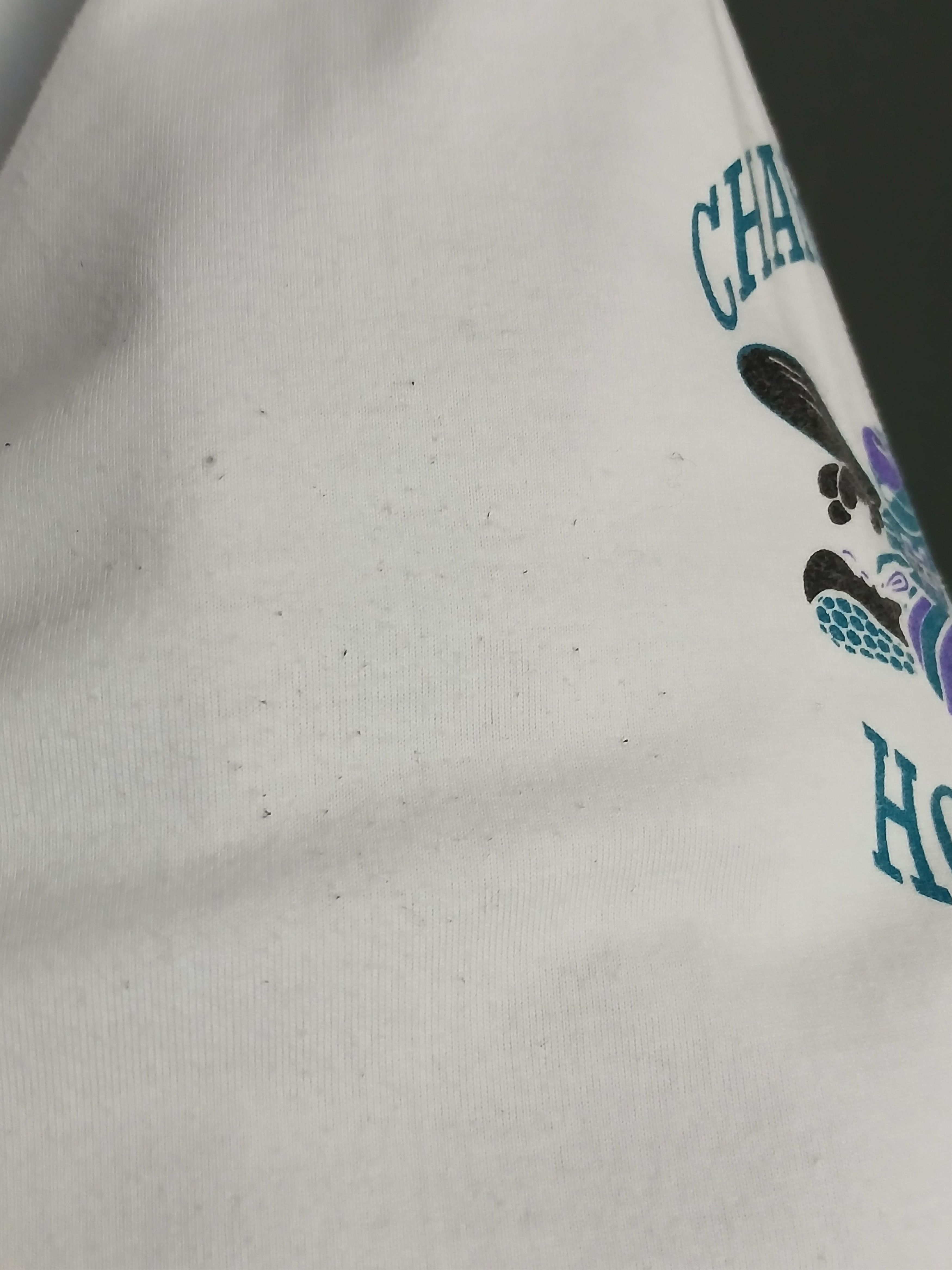 NBA NBA Charlotte Hornets Basketball T-Shirt Size US L / EU 52-54 / 3 - 7 Thumbnail