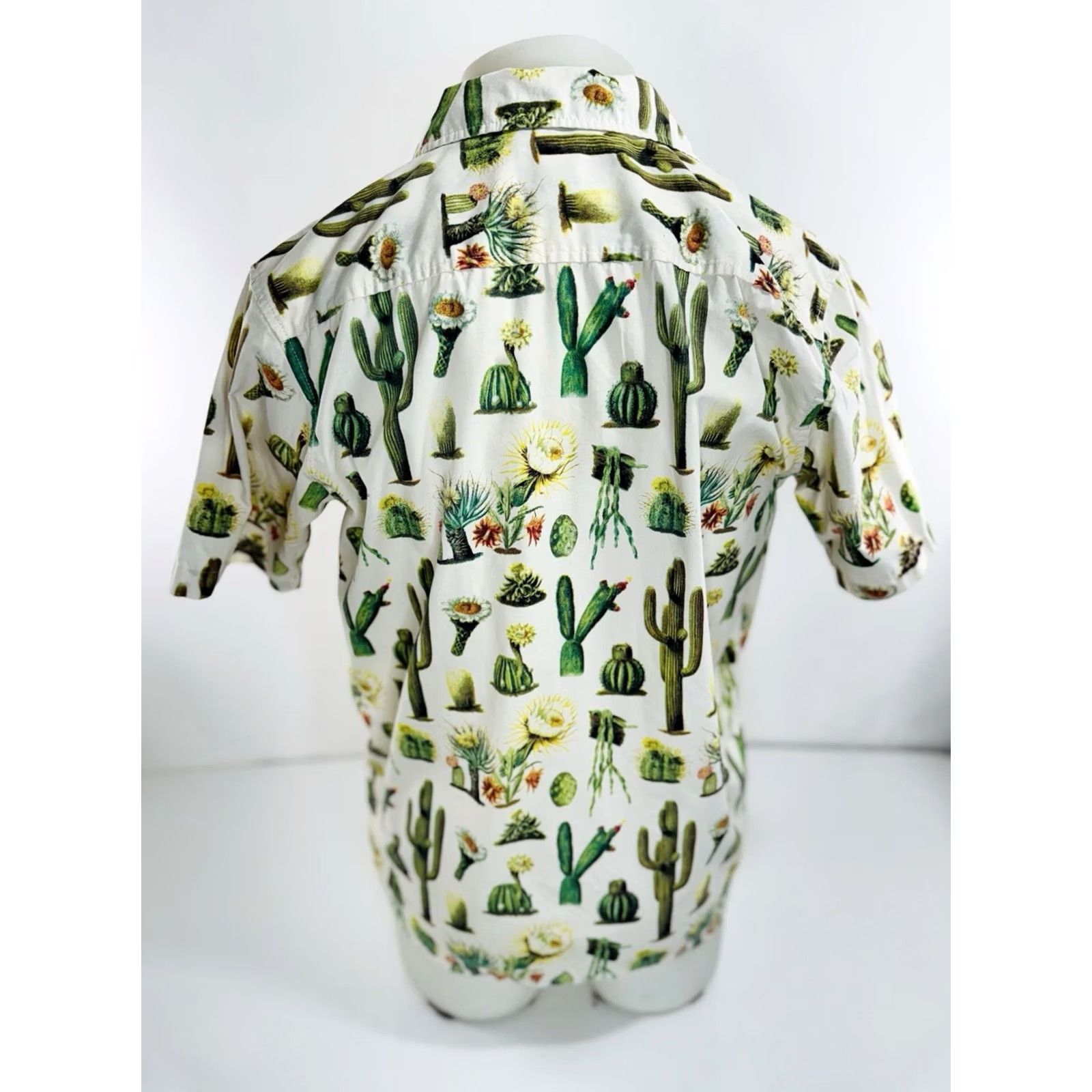 Brixton BRIXTON Cactus Desert Western Southwestern Mens M Shirt Multicolor EXCELLENT Size US M / EU 48-50 / 2 - 4 Thumbnail