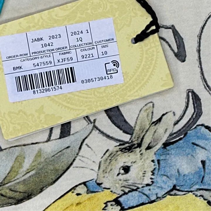 Gucci Peter Rabbit Cartoon T-Shirt for Kids-2507