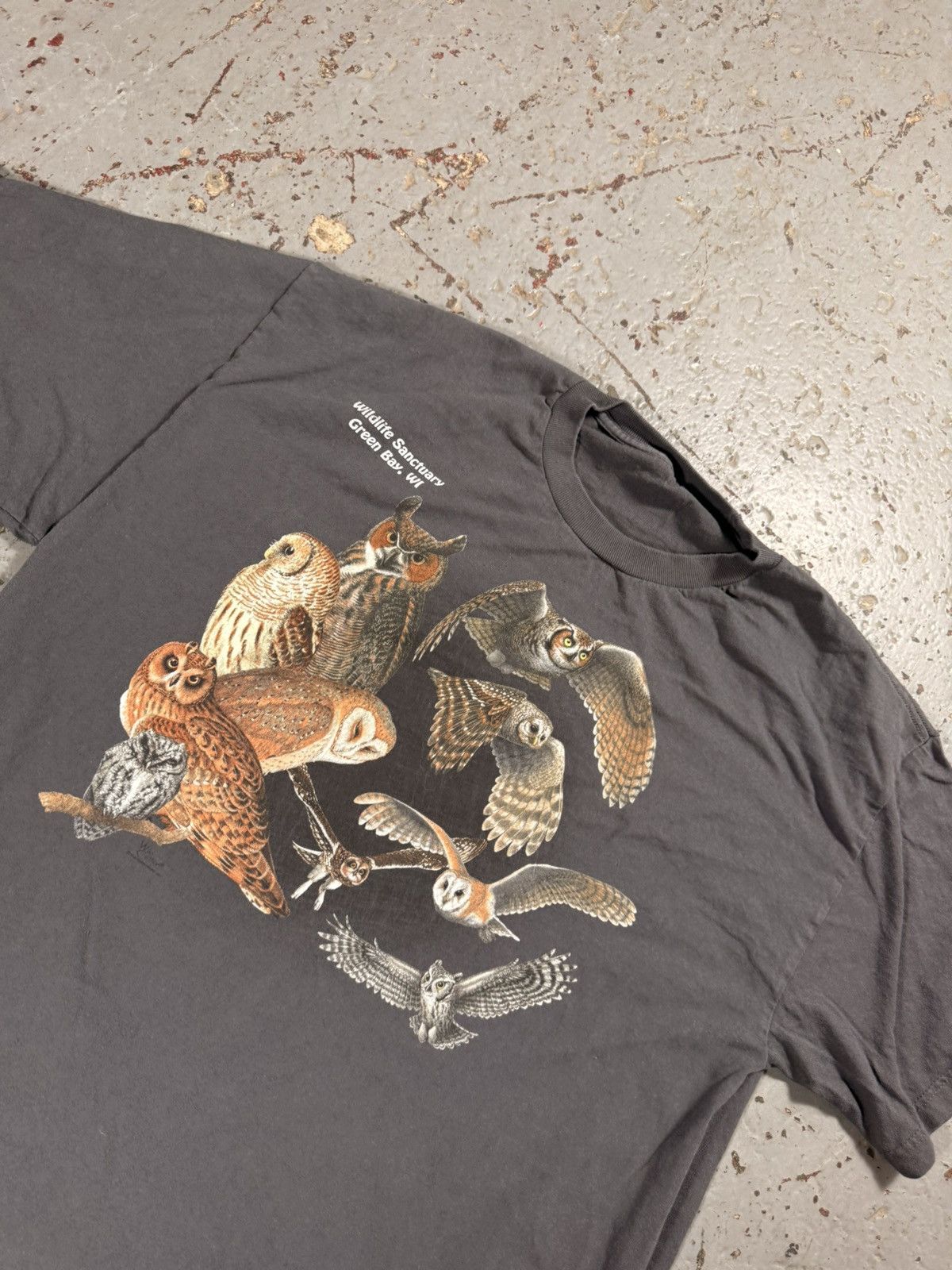 Other Vintage Nature Owls Tee National Park Size US XL / EU 56 / 4 - 3 Thumbnail