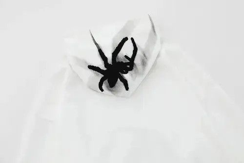 Other Embroidery Spider Hoodie Size US M / EU 48-50 / 2 - 3 Thumbnail