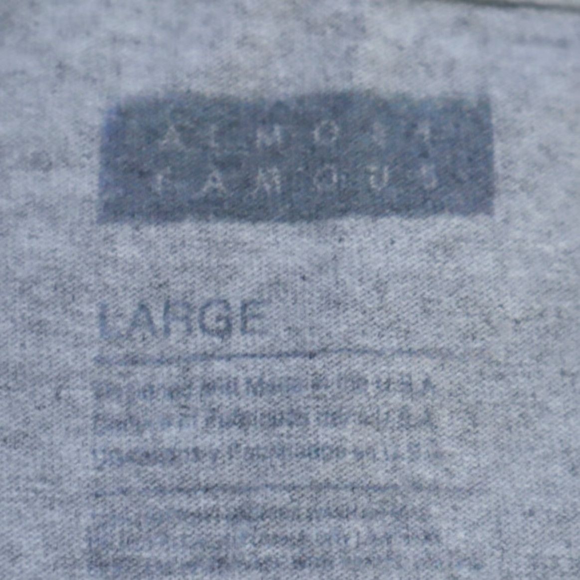 Almost Famous Almost Famous The Sandlot Legends Never Die Solid T-Shirt Gray Men's L Size US L / EU 52-54 / 3 - 5 Thumbnail