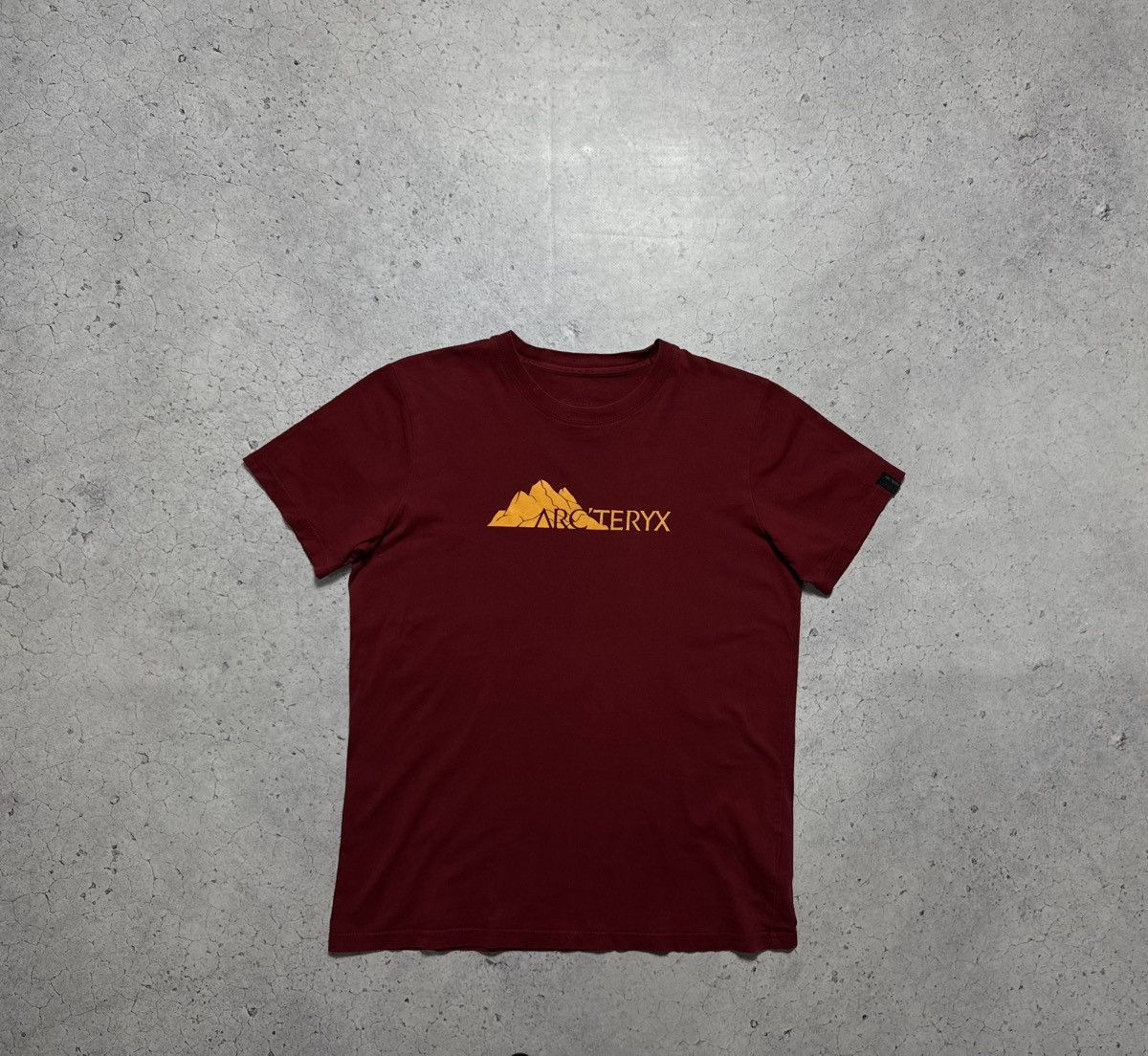 Arcteryx Big Logo Outdoor T-Shirt