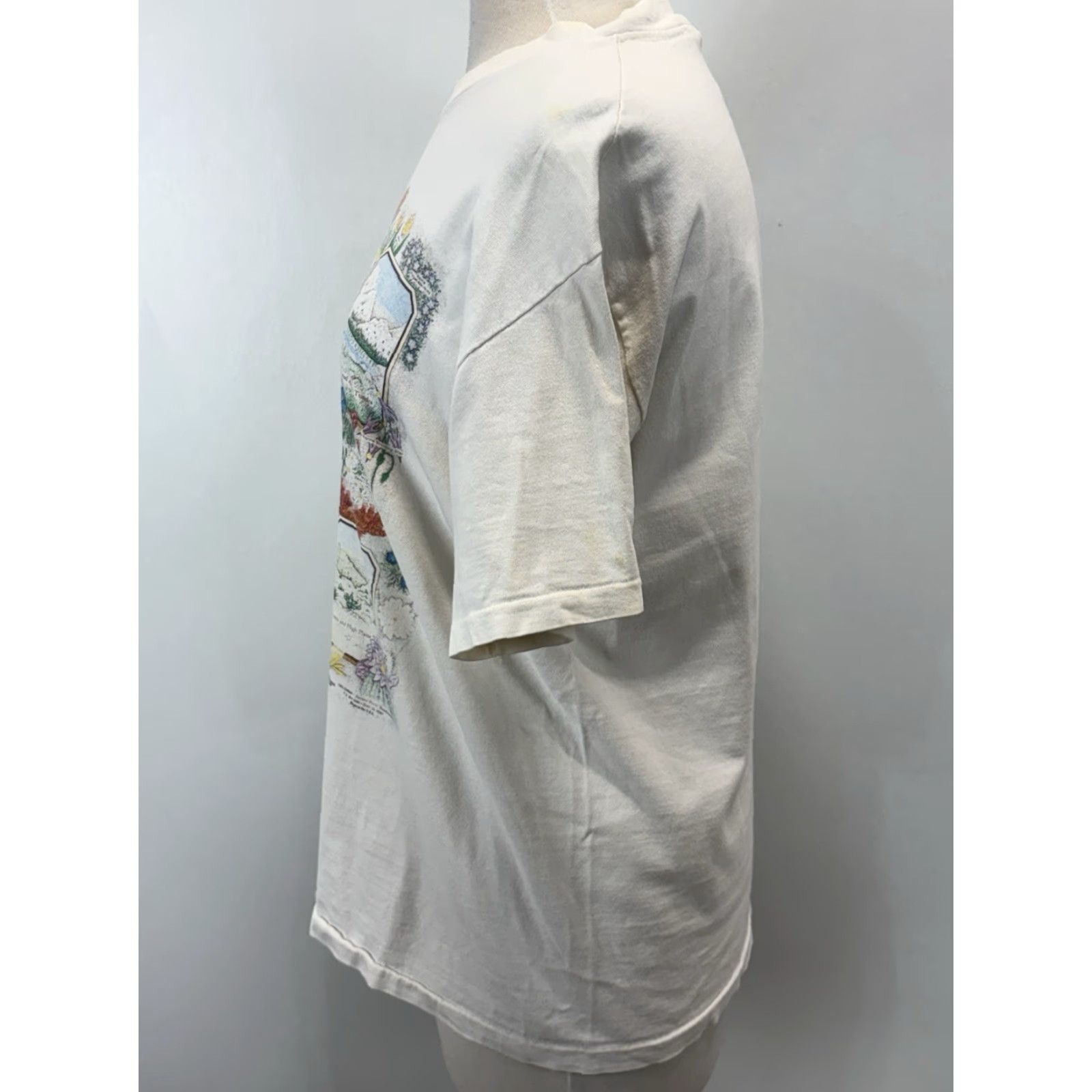Hanes VINTAGE Hanes Beefy-T T-Shirt Large White Unisex Adults 90s Flowers Graphic Made USA Size US L / EU 52-54 / 3 - 2 Thumbnail