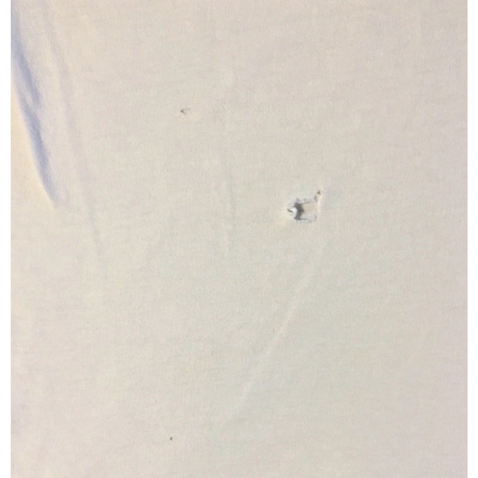 Hanes VINTAGE Hanes Shirt L White 90s Biker Grunge Punk Skate Surf Trucker Distressed Single Stitch Mens T-Shirt Distressed Collection Size US L / EU 52-54 / 3 - 4 Thumbnail