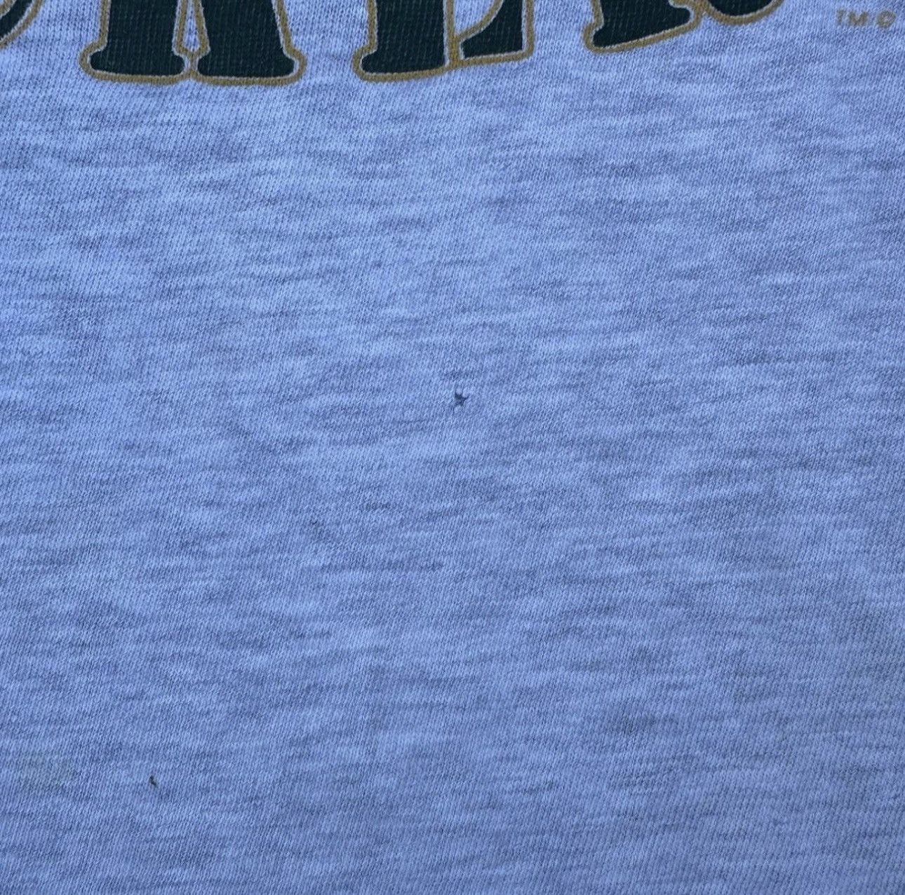 Champion Vintage Greenbay packers shirt Size US M / EU 48-50 / 2 - 4 Thumbnail
