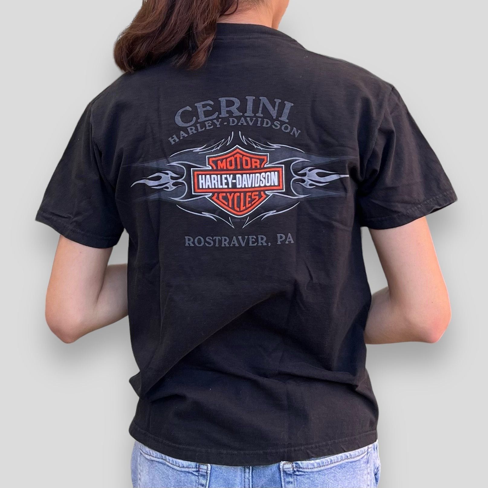 Harley Davidson × Vintage Vintage Y2K Harley Davidson Rostraver, PA Tee Size US M / EU 48-50 / 2 - 2 Thumbnail