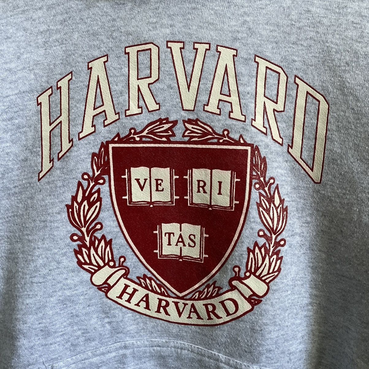 Tultex × Vintage Vintage 90’s Harvard University Hoodie Size US M / EU 48-50 / 2 - 2 Thumbnail