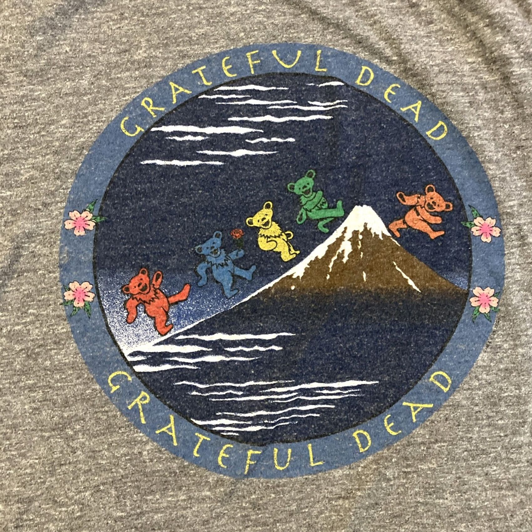 Vintage GRATEFUL DEAD Chaser Fire On The Mountain T Shirt Large Gray Men L Size US L / EU 52-54 / 3 - 2 Thumbnail
