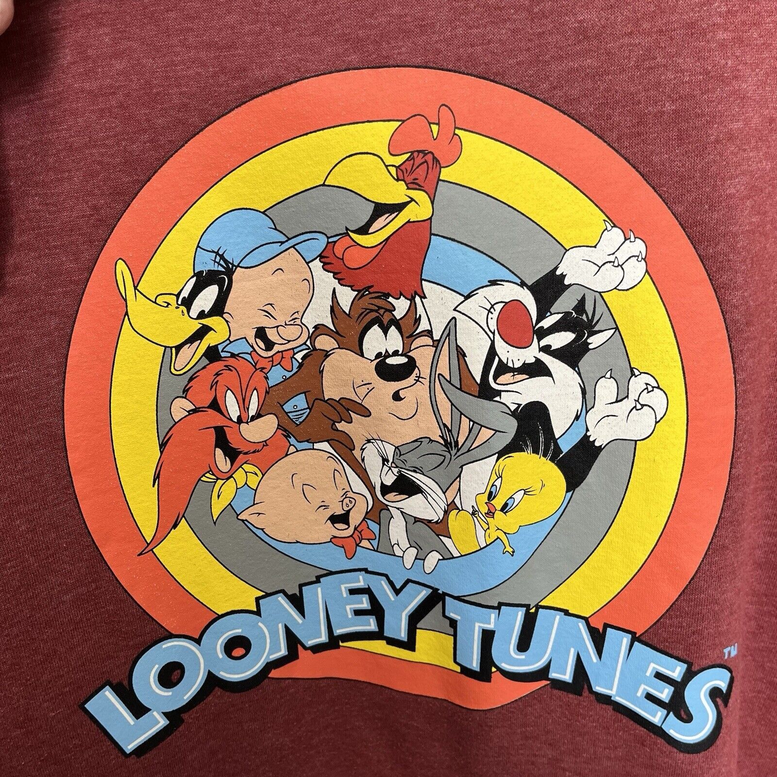 Vintage Looney Tunes | Bugs Bunny Warner Bros Hood Sweatshirt 90’s Size US M / EU 48-50 / 2 - 3 Thumbnail