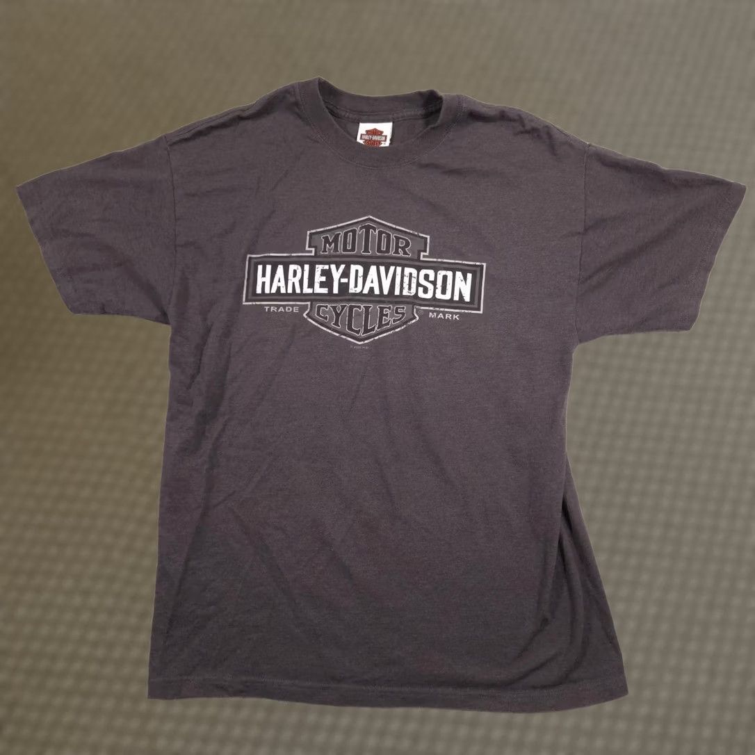 Harley Davidson VINTAGE Harley-Davidson Shirt Mens L Gray Graphic Tee 2000s Quincy Illinois Bar & Shield TNT Back Harley Events Boys? Size US L / EU 52-54 / 3 - 1 Thumbnail