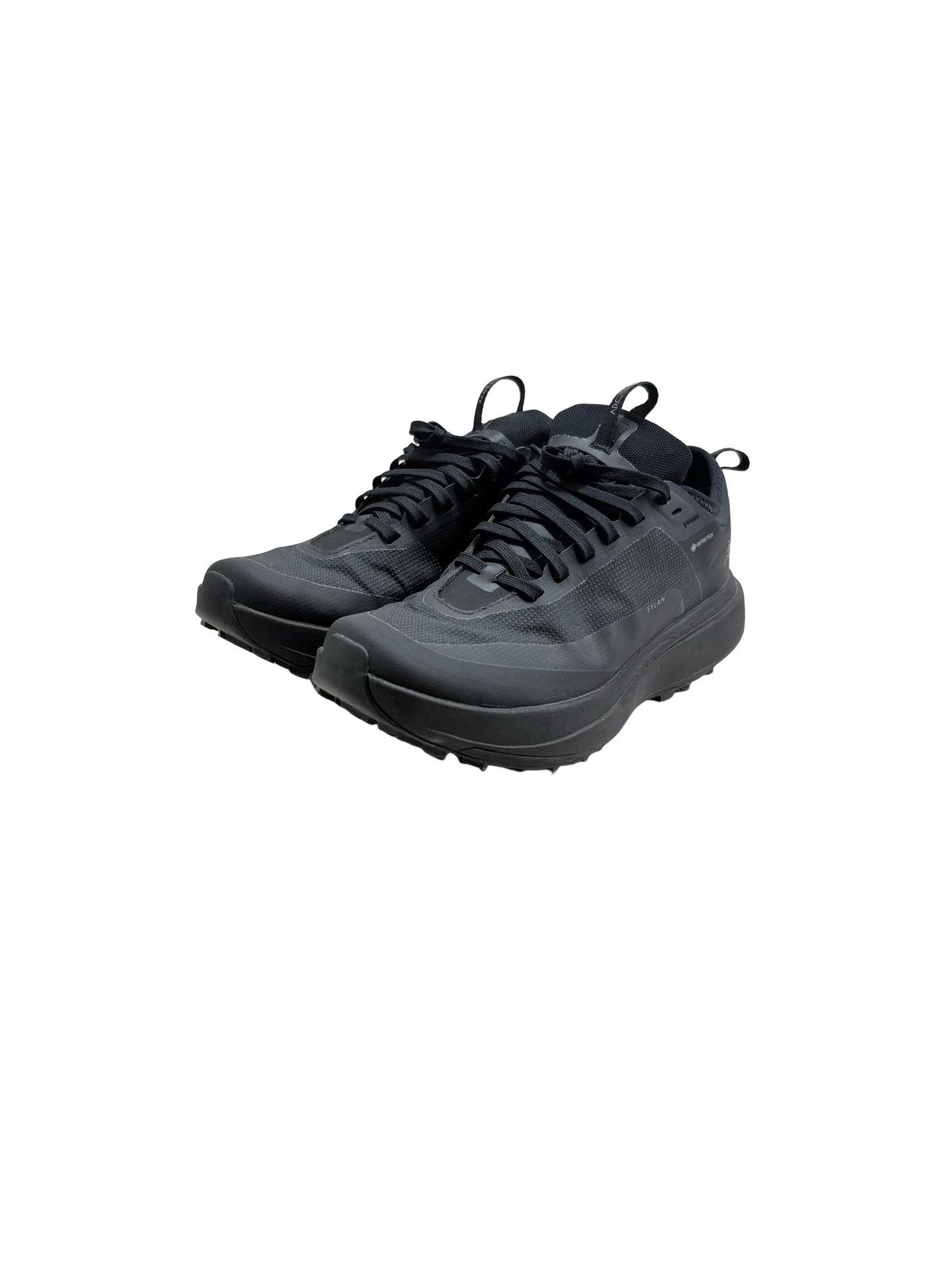 Arc'teryx Arc'teryx Black Sylan Gore-Tex Sneakers US 6 Size US 6 / IT 36 - 1 Thumbnail