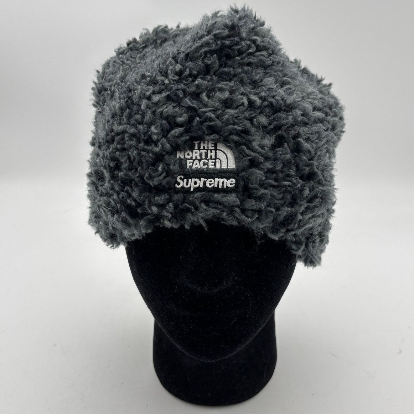 Supreme North Face Beanie | Grailed