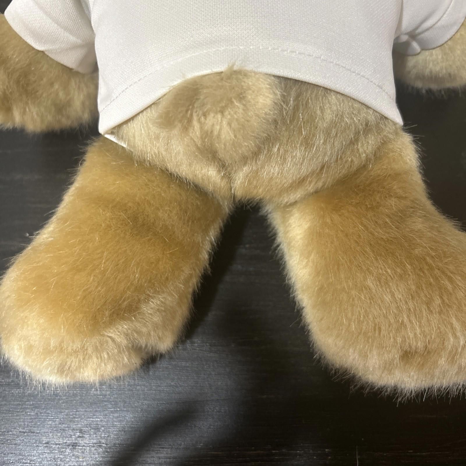 Designer MASCOTS UNITED STATES AIR FORCE PLUSH GREEK FOR ME Size ONE SIZE - 4 Thumbnail