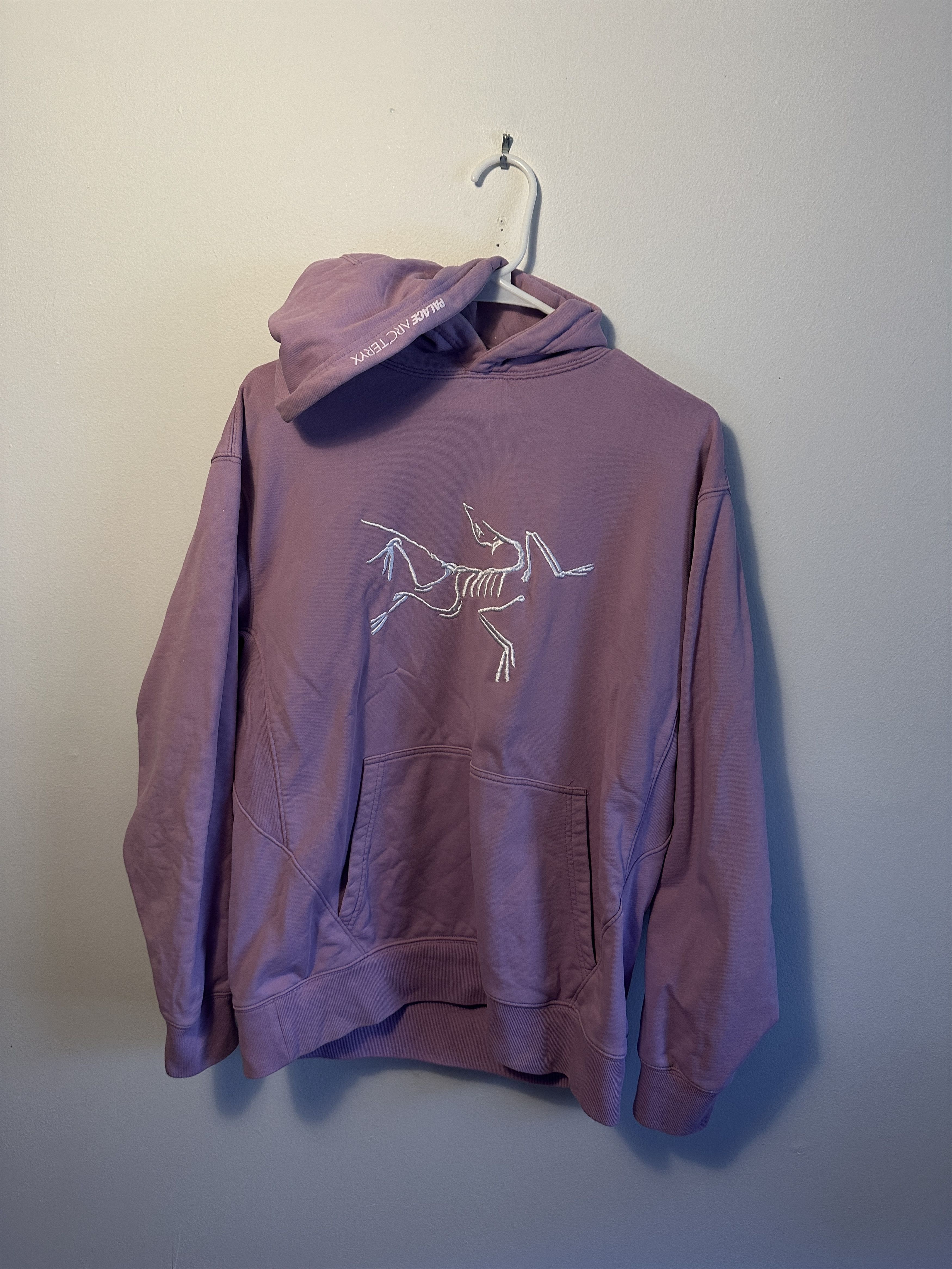 Arc'teryx × Palace Arc'Teryx x Palace Hoodie Size US L / EU 52-54 / 3 - 2 Thumbnail