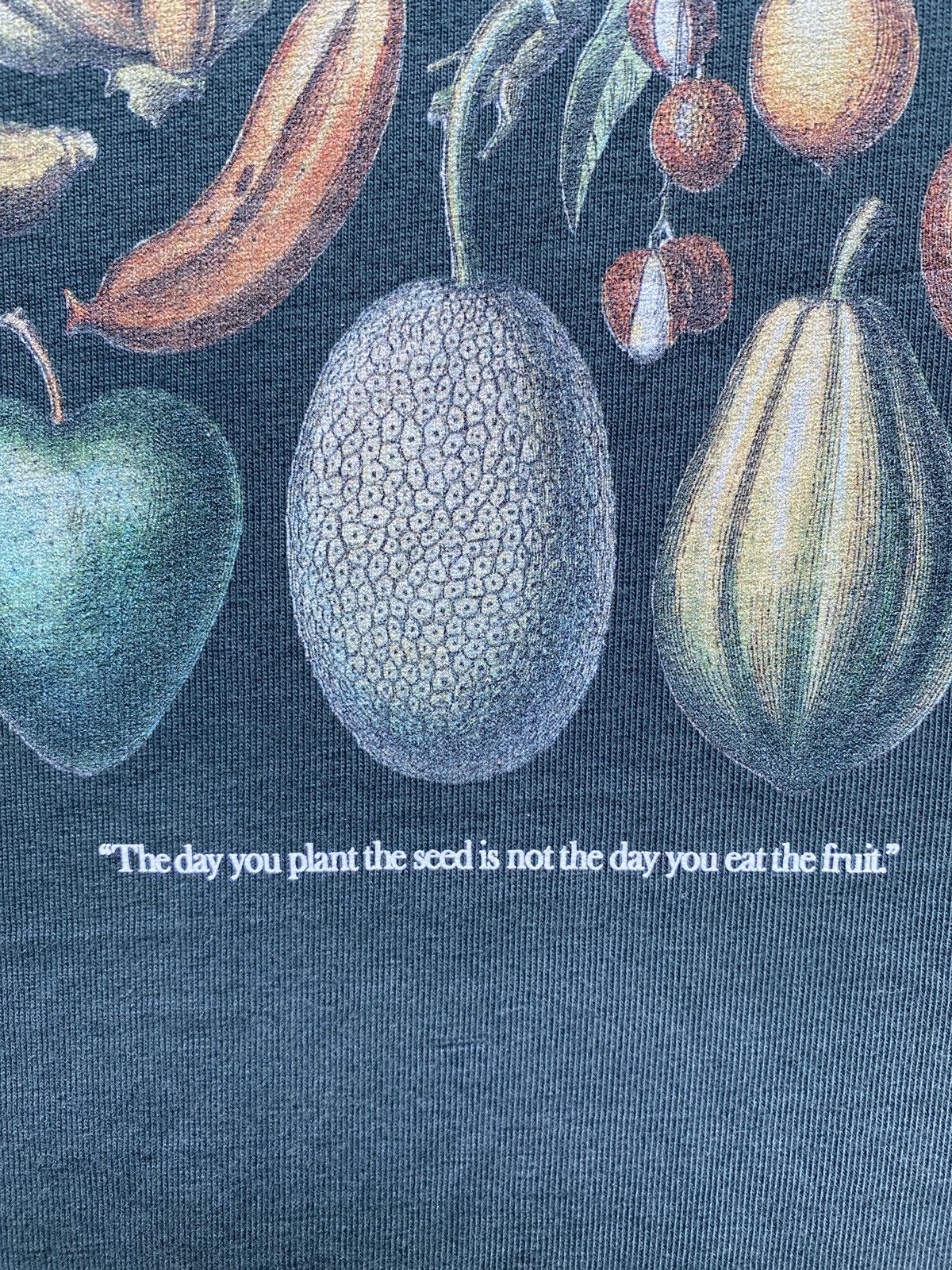 Kith Kith Plant Fruit Pumpkin Seed Tee Sz S Size US S / EU 44-46 / 1 - 5 Thumbnail