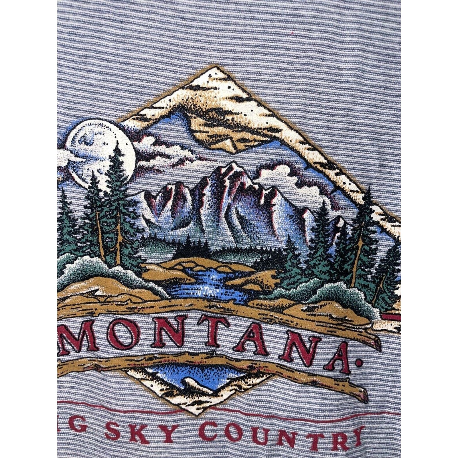 Vintage 90s Vintage MT Montana Last Best Place Shirt Tee VTG L 1990s Size US L / EU 52-54 / 3 - 4 Thumbnail