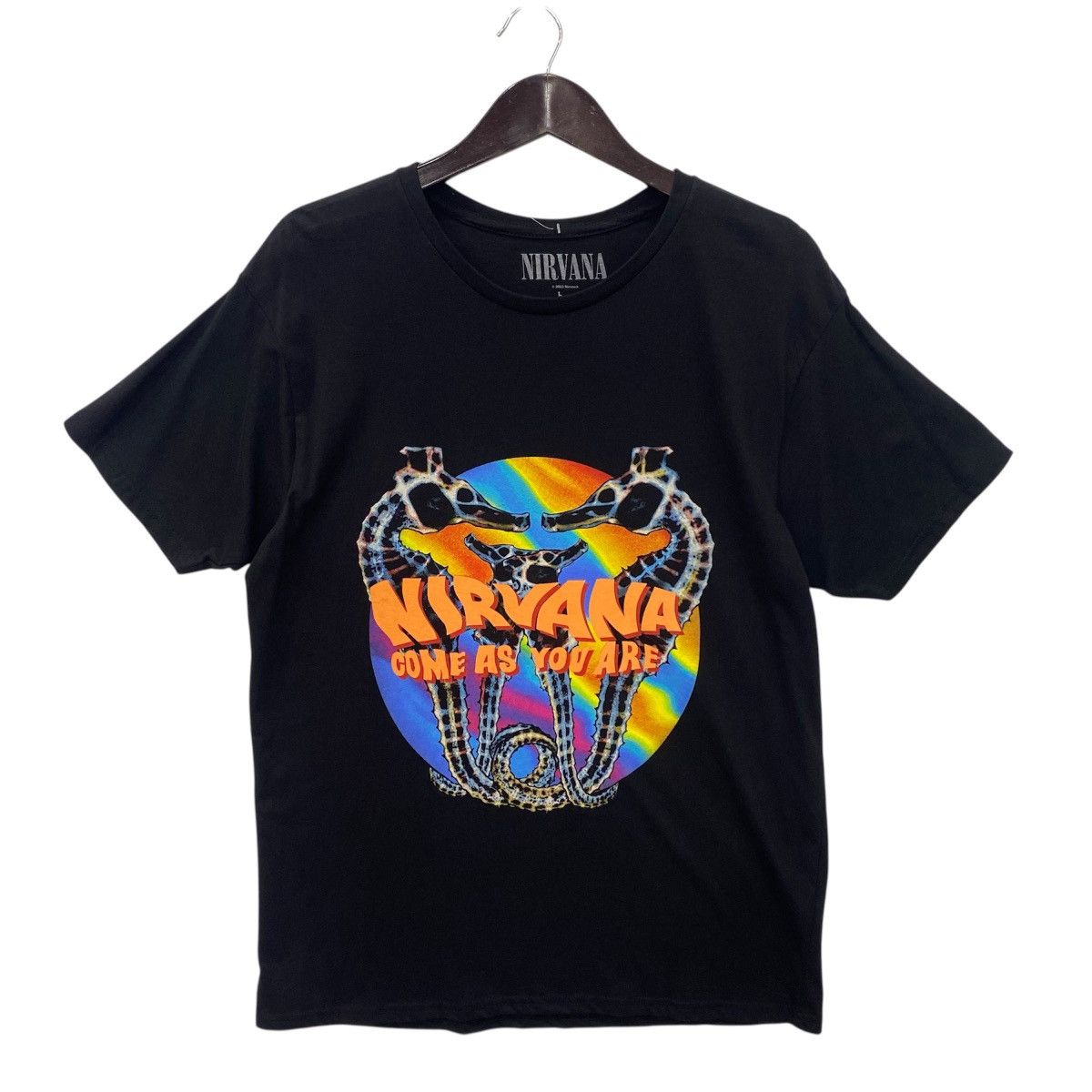Band Tees 💥NIRVANA come as you are grunge band single tee shirt Size US L / EU 52-54 / 3 - 1 Thumbnail