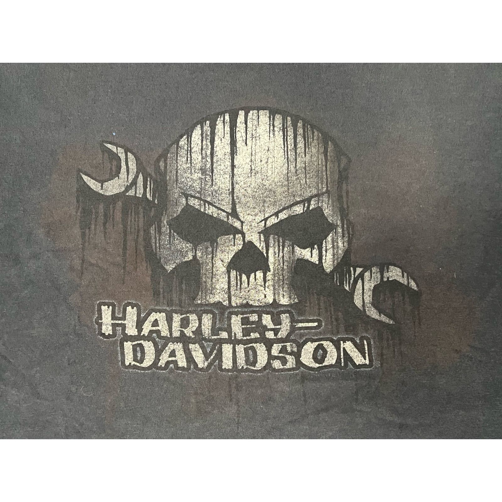 Harley Davidson Harley Davidson Tallahassee Florida Skull T-shirt XL Size US XL / EU 56 / 4 - 4 Thumbnail