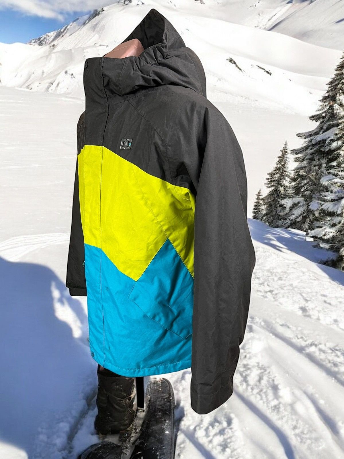 DC DC Shoes women’s skiing jacket size L Size L / US 10 / IT 46 - 5 Thumbnail