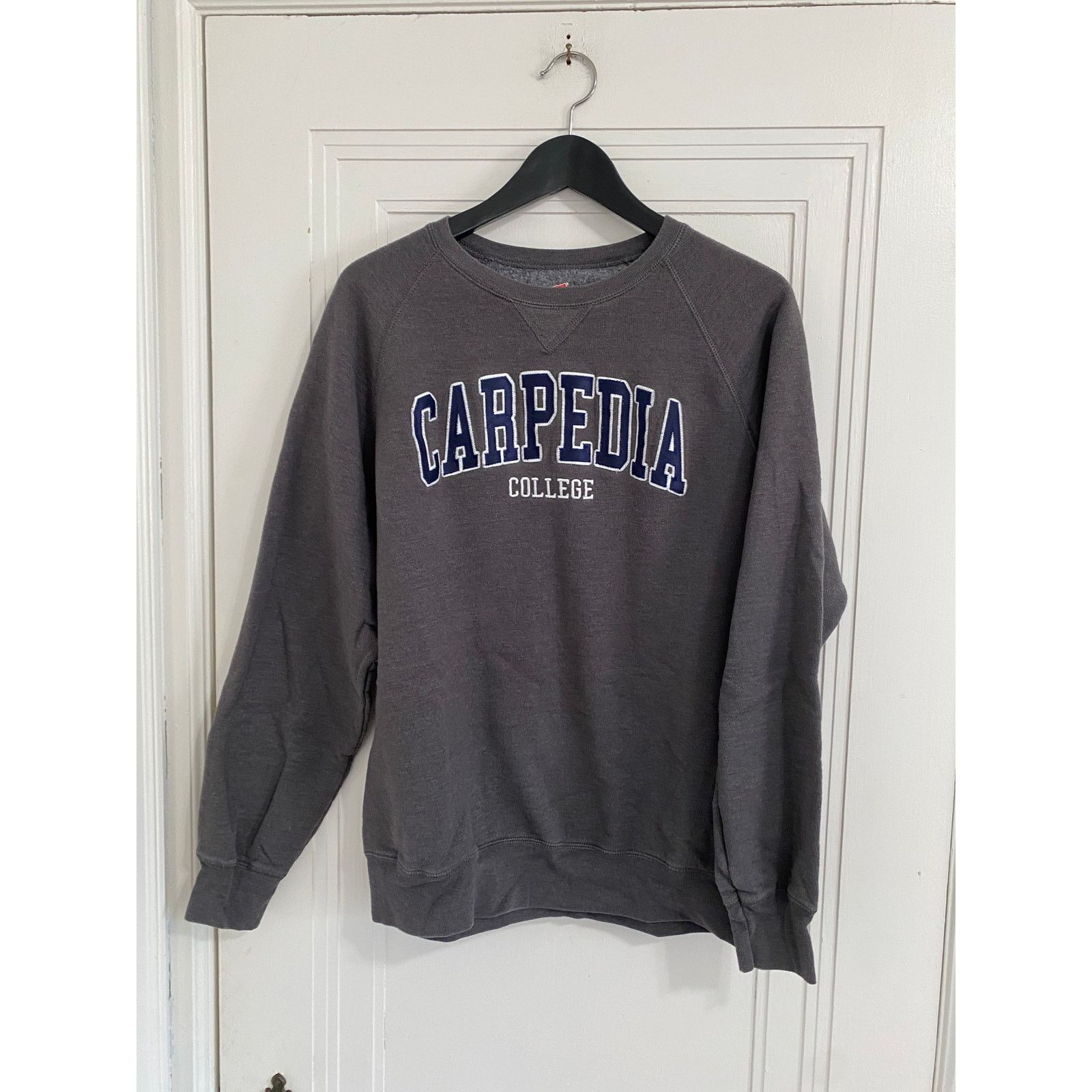 Hanes Carpedia College Stitched Crewneck Sweatshirt Size Large Size US L / EU 52-54 / 3 - 1 Thumbnail