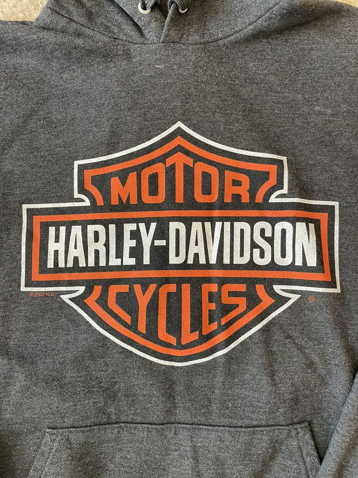 Harley Davidson Harley Davidson Hoodie Size US M / EU 48-50 / 2 - 2 Preview