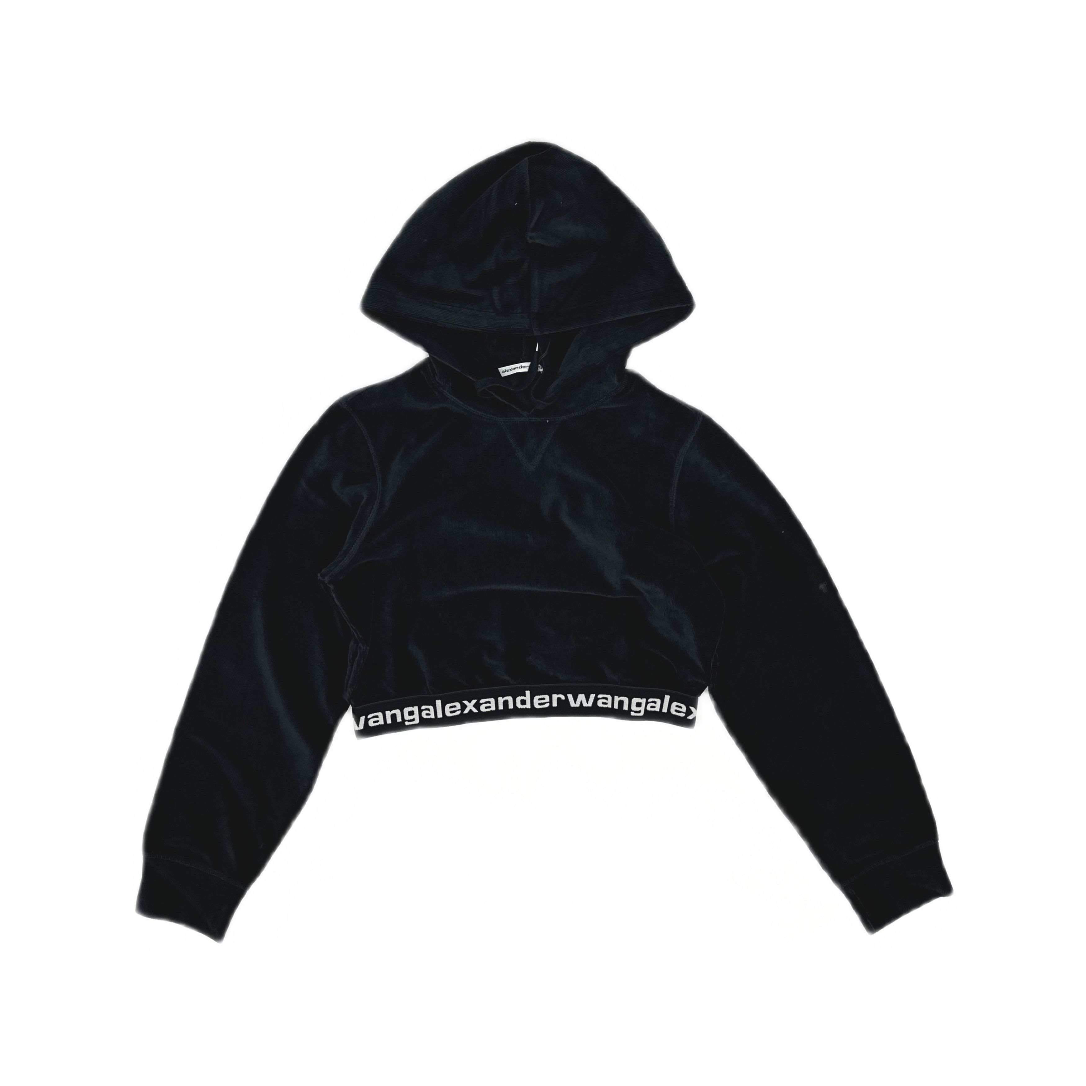 Alexander Wang Alexander Wang Logo Elastic Cropped Hoodie Size L Size L / US 10 / IT 46 - 1 Thumbnail