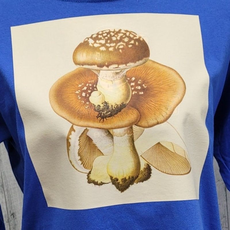 Gildan New Hand Printed Youth XL Oyster Mushroom T-Shirt Size US XL / EU 56 / 4 - 2 Thumbnail