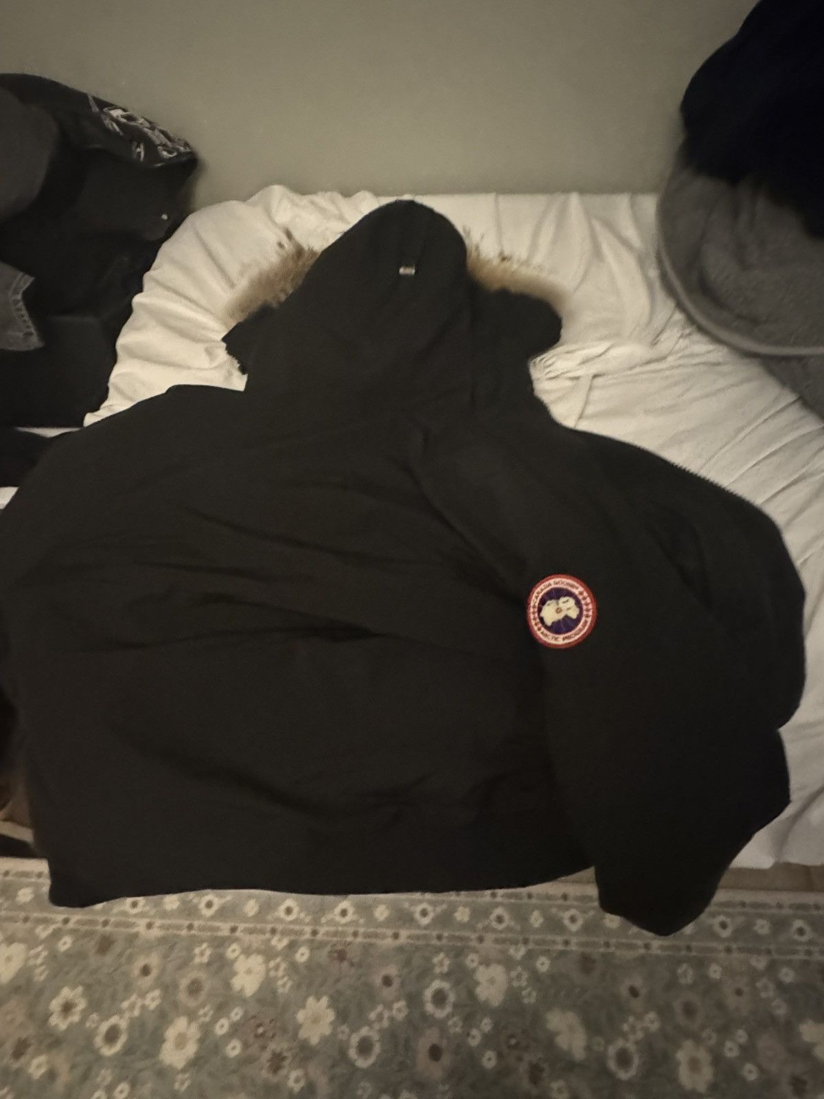 Canada Goose CANADA GOOSE CHILLIWACK BOMBER MENS DOWN JACKET AND FUR TRIM Size US L / EU 52-54 / 3 - 6 Thumbnail