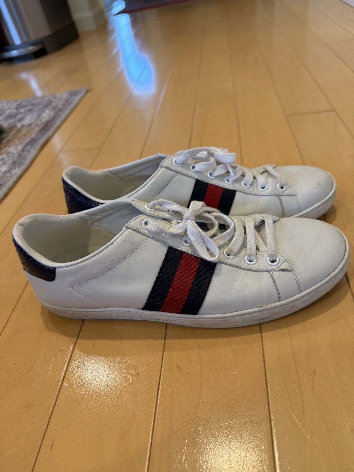 Gucci Gucci tennis shoes Size US 9 / IT 39 - 1 Thumbnail