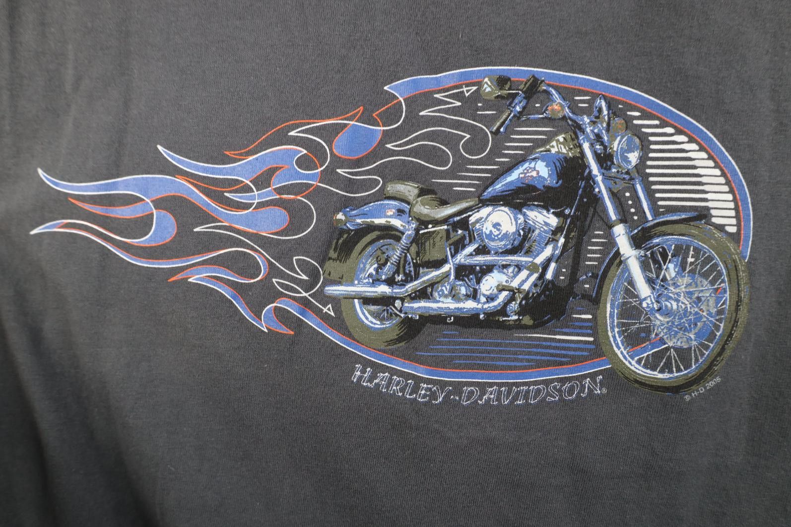 Harley Davidson Vintage Y2K 2005 Harley Davidson Fire Flames Arbor T-Shirt Size US XL / EU 56 / 4 - 4 Thumbnail