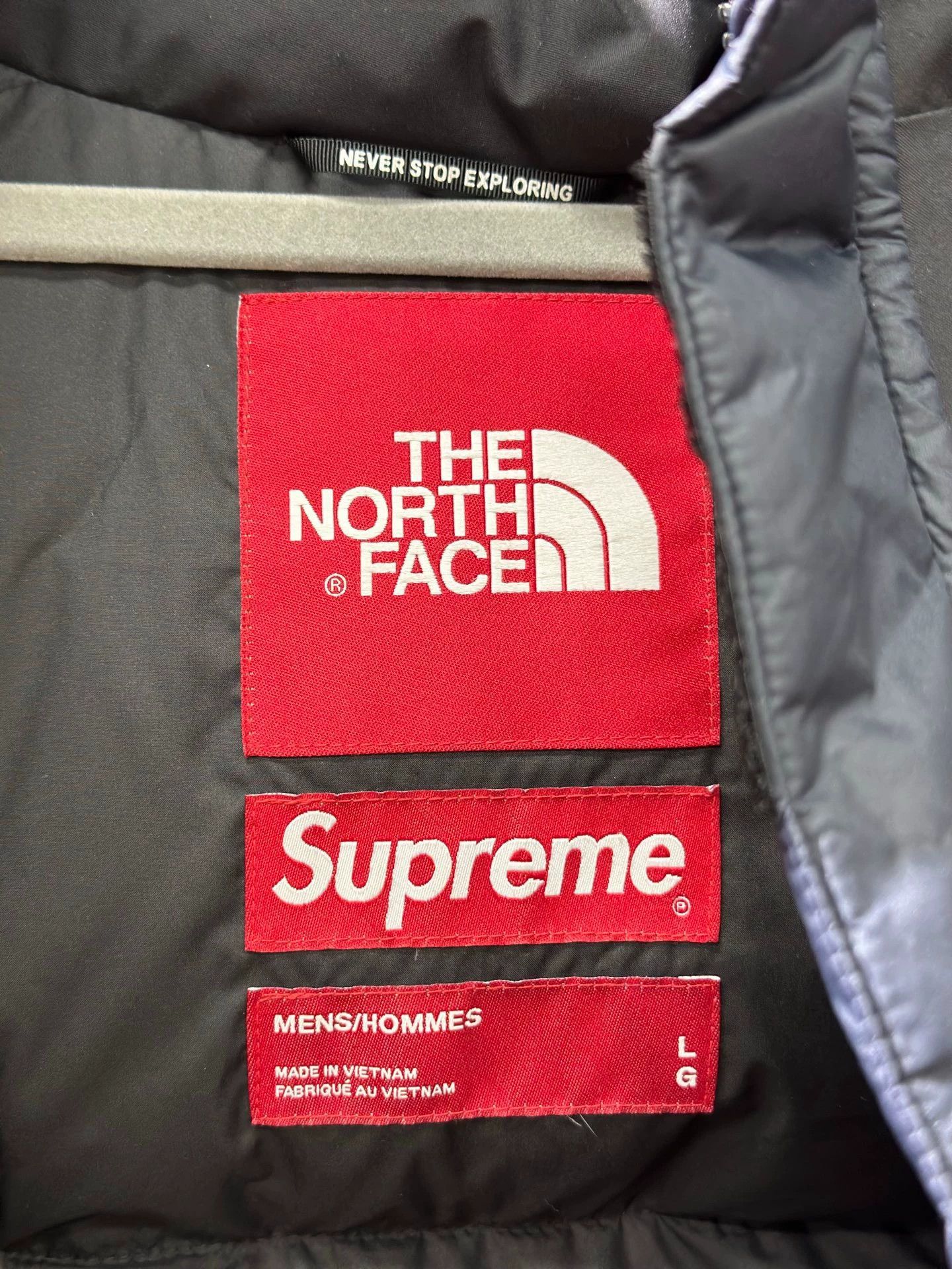 Supreme Supreme x TNF Statue of Liberty Collaboration Down Jacket Size US L / EU 52-54 / 3 - 3 Thumbnail