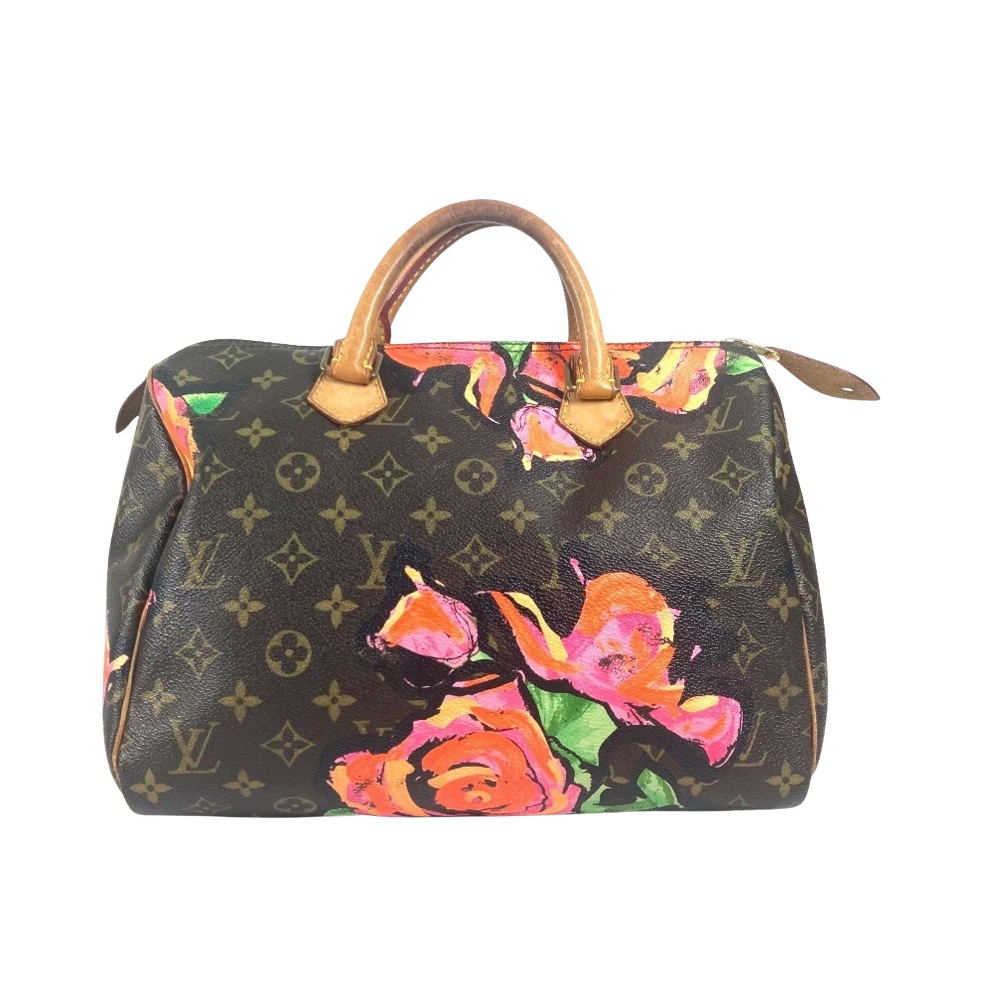 Louis Vuitton Louis Vuitton Speedy 30 handbag Size ONE SIZE - 1 Thumbnail