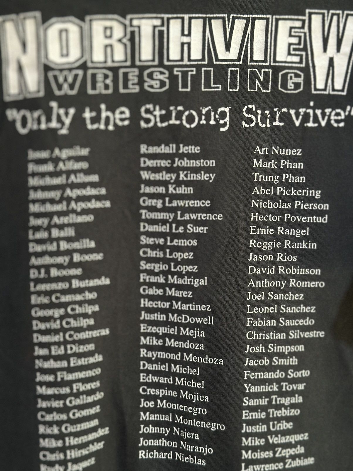 Anvil Thrashed Vintage 90s Northview Wrestling Distress Tee Size US XXL / EU 58 / 5 - 6 Thumbnail