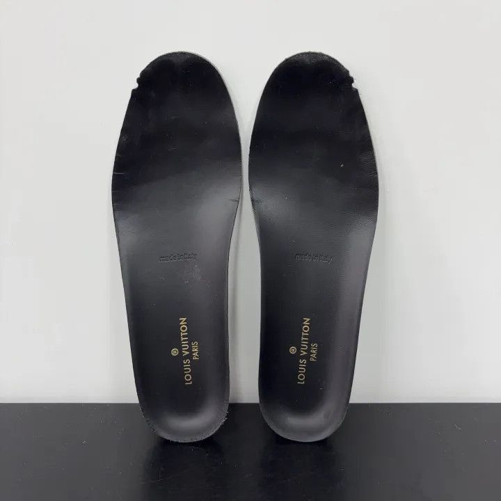 Louis Vuitton Monogram Low-Top Sneaker -2508