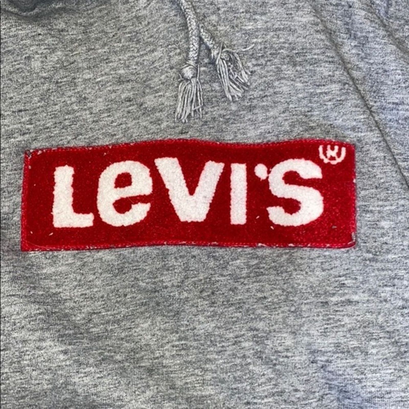 Levi's Levi's Logo Patch Oversize Hoodie in Gray | Size S Size S / US 4 / IT 40 - 4 Thumbnail